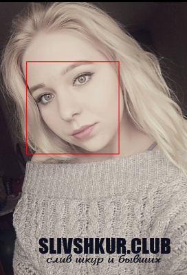Светлана Лис