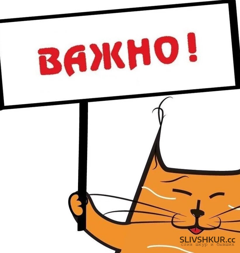 Слив шкуры SLIVSHKUR.LIVE - НОВЫЙ АДРЕС САЙТА С 15.10.2026 с интим фото и видео