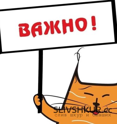 SLIVSHKUR.LIVE - НОВЫЙ АДРЕС САЙТА С 15.10.2026